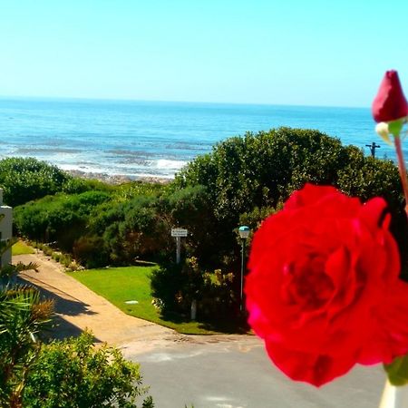 Belle Vue Guesthouse Hermanus Εξωτερικό φωτογραφία