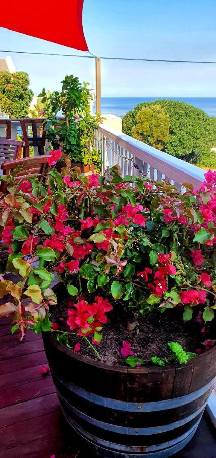 Belle Vue Guesthouse Hermanus Εξωτερικό φωτογραφία