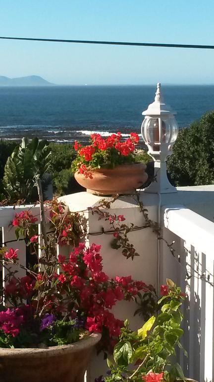 Belle Vue Guesthouse Hermanus Εξωτερικό φωτογραφία