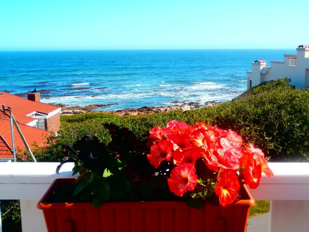 Belle Vue Guesthouse Hermanus Εξωτερικό φωτογραφία