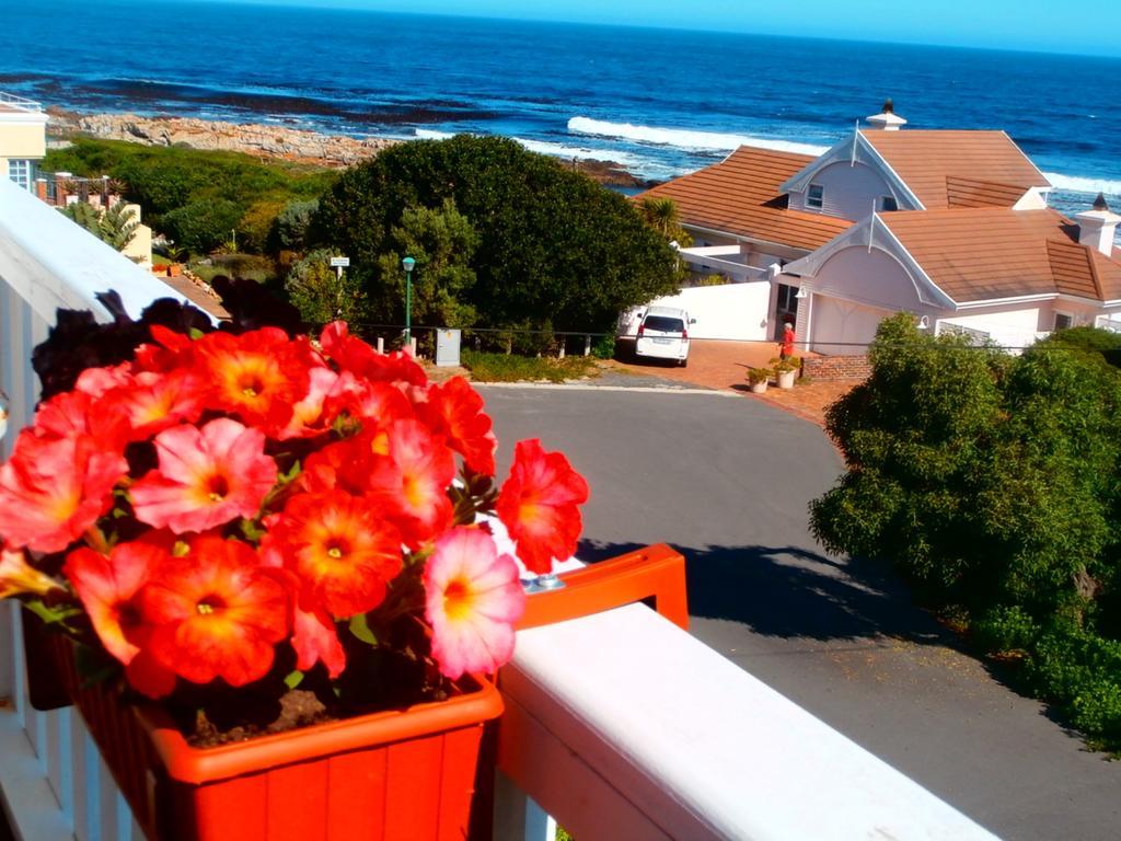 Belle Vue Guesthouse Hermanus Εξωτερικό φωτογραφία
