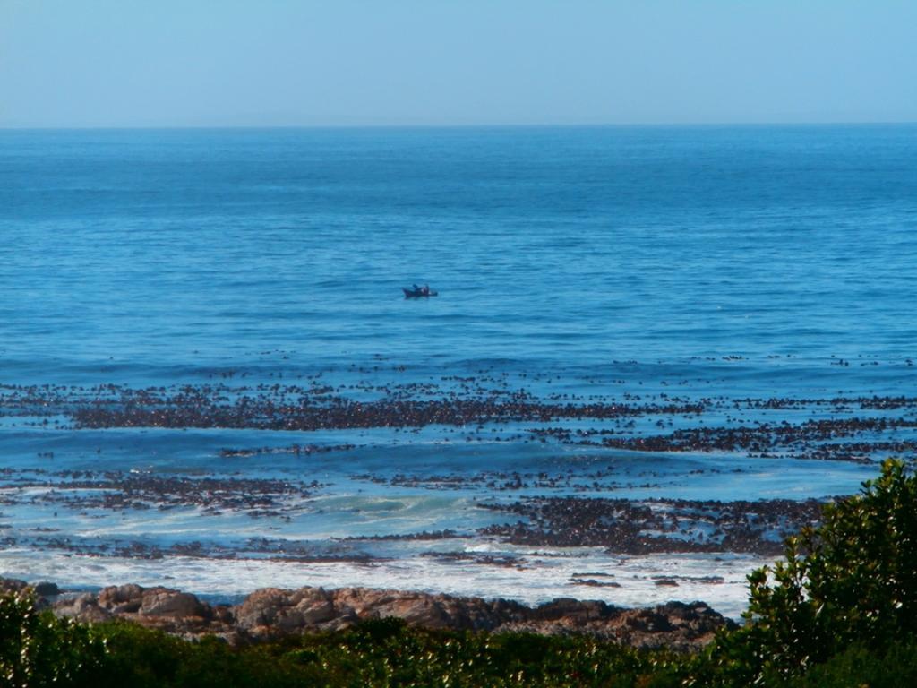Belle Vue Guesthouse Hermanus Εξωτερικό φωτογραφία
