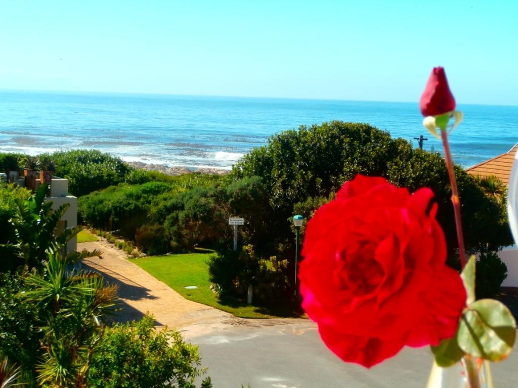 Belle Vue Guesthouse Hermanus Εξωτερικό φωτογραφία