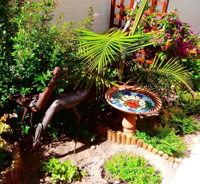 Belle Vue Guesthouse Hermanus Εξωτερικό φωτογραφία