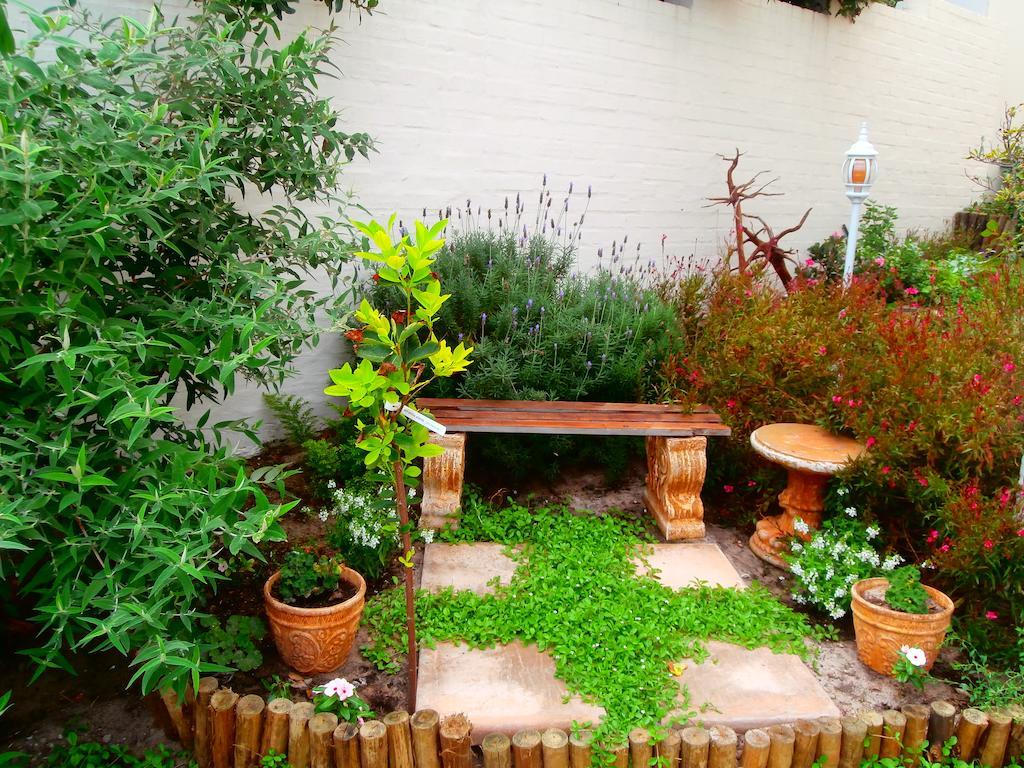 Belle Vue Guesthouse Hermanus Εξωτερικό φωτογραφία